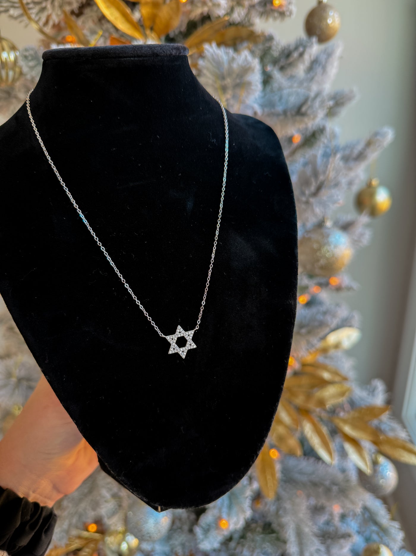 Star of David Necklace