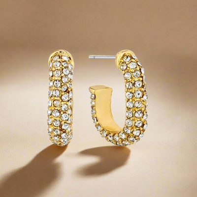 Dazzled Rhinestone Earrings